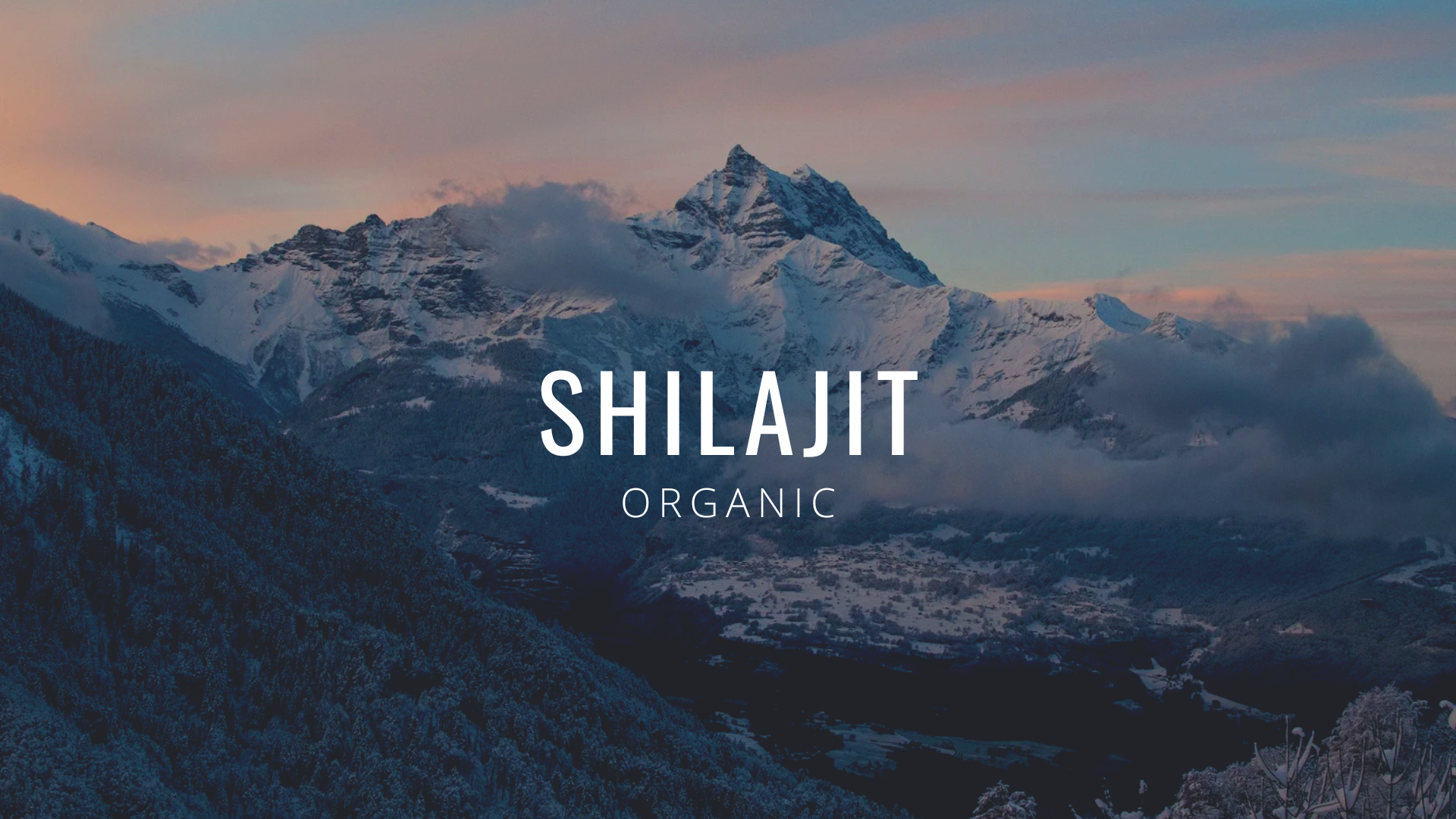 Shilajit organic