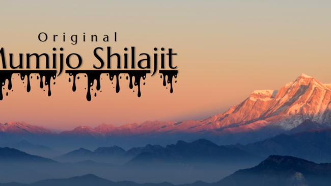 Mumijo Shilajit clanok 1